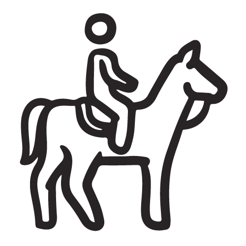 caballos